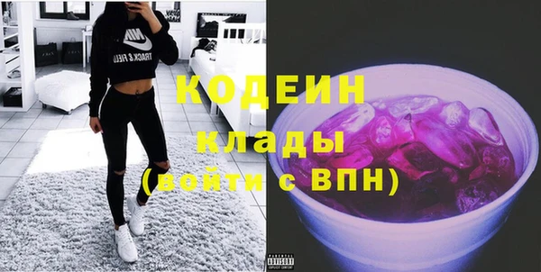амф Липки