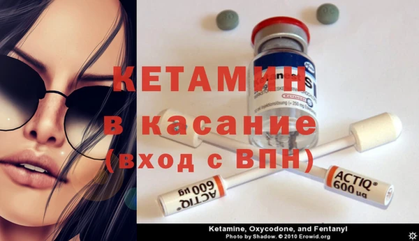 амф Липки